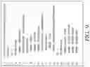 Fig. 11 - AUTOMATED TRANSFORMATION DOCUMENTATION OF MEDICAL DATA