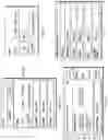 Fig. 13 - HEALTHCARE INFORMATION ANALYSIS AND GRAPHICAL DISPLAY PRESENTATION SYSTEM