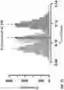 Fig. 15 - SYSTEM AND METHOD OF TUBERCULOSIS THERAPY