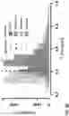 Fig. 18 - SYSTEM AND METHOD OF TUBERCULOSIS THERAPY