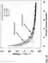 Fig. 25 - SYSTEM AND METHOD OF TUBERCULOSIS THERAPY