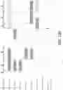 Fig. 26 - Unsupervised Learning And Prediction Of Lines Of Therapy From High-Dimensional Longitudinal Medications Data