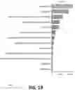 Fig. 33 - Unsupervised Learning And Prediction Of Lines Of Therapy From High-Dimensional Longitudinal Medications Data