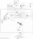 Fig. 12 - INGESTIBLE EVENT MARKER DATA FRAMEWORK