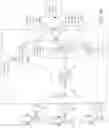Fig. 20 - INGESTIBLE EVENT MARKER DATA FRAMEWORK