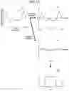Fig. 13 - ANALYZING APPARATUS AND ANALYZING METHOD