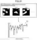 Fig. 17 - ANALYZING APPARATUS AND ANALYZING METHOD