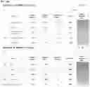 Fig. 16 - NONINVASIVE METHODS FOR DETECTION OF PULMONARY HYPERTENSION