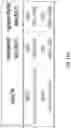 Fig. 34 - SYSTEMS AND METHODS FOR DIAGNOSING A HEALTH CONDITION BASED ON PATIENT TIME SERIES DATA