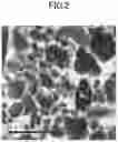 Fig. 03 - ANISOTROPIC MAGNETIC POWDER, ANISOTROPIC MAGNET AND METHOD FOR MANUFACTURING ANISOTROPIC MAGNETIC POWDER