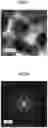 Fig. 04 - ANISOTROPIC MAGNETIC POWDER, ANISOTROPIC MAGNET AND METHOD FOR MANUFACTURING ANISOTROPIC MAGNETIC POWDER