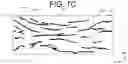 Fig. 12 - Multilayer ceramic capacitor and method of manufacturing same