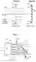 Fig. 03 - Scanning ion beam deposition and etch