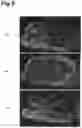 Fig. 10 - IONIZATION METHOD AND MASS SPECTROMETRY METHOD