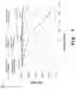 Fig. 06 - METHOD AND SYSTEM TO PRODUCE DIES FOR A WAFER RECONSTITUTION