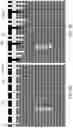 Fig. 08 - Three-dimensional memory device including stairless word line contact structures and method of making the same