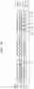 Fig. 08 - Non-conductive film sheet and semiconductor package including the same