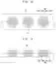 Fig. 09 - Semiconductor package including plurality of semiconductor chips and method for manufacturing the same