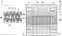Fig. 01 - Layout for measuring overlapping state