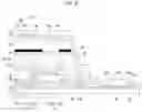 Fig. 09 - Display device