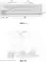 Fig. 09 - DISPLAY DEVICE AND ELECTRONIC DEVICE