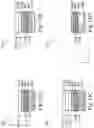 Fig. 21 - METAL GATE STRUCTURES OF SEMICONDUCTOR DEVICES