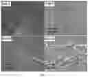 Fig. 06 - Piezoelectric peptide-based materials and piezoelectric devices containing same