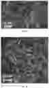 Fig. 08 - Piezoelectric peptide-based materials and piezoelectric devices containing same