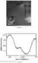 Fig. 10 - Piezoelectric peptide-based materials and piezoelectric devices containing same