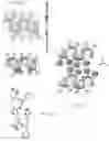 Fig. 23 - Piezoelectric peptide-based materials and piezoelectric devices containing same