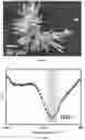 Fig. 27 - Piezoelectric peptide-based materials and piezoelectric devices containing same