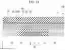 Fig. 10 - MAGNETIZATION ROTATION ELEMENT, MAGNETORESISTANCE EFFECT ELEMENT, MAGNETIC MEMORY, AND METHOD OF MANUFACTURING SPIN-ORBIT TORQUE WIRING