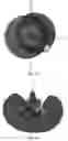 Fig. 11 - Tunable Adsorption and Wetting