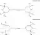 Fig. 105 - Organic light-emitting device and light-emitting apparatus including the same