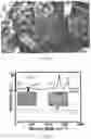 Fig. 06 - High Efficiency Graphene/Wide Band-Gap Semiconductor Heterojunction Solar Cells