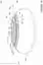 Fig. 02 - Lamination for Flexible OLED Display