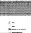 Fig. 01 - Electrode for secondary battery and fabrication method thereof