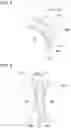 Fig. 04 - Method for producing an electrode sheet