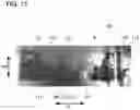 Fig. 10 - Method for producing an electrode sheet