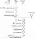 Fig. 01 - METHOD FOR FORMING POSITIVE ELECTRODE ACTIVE MATERIAL