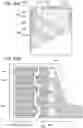 Fig. 21 - METHOD FOR FORMING POSITIVE ELECTRODE ACTIVE MATERIAL