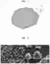 Fig. 02 - Anode active material including carbon composite for lithium secondary battery and method of manufacturing the same