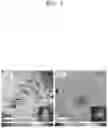 Fig. 05 - Anode active material including carbon composite for lithium secondary battery and method of manufacturing the same