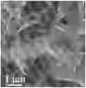 Fig. 01 - PROCESS FOR PREPARING AND USE OF HARD-CARBON CONTAINING MATERIALS