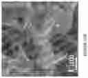 Fig. 12 - PROCESS FOR PREPARING AND USE OF HARD-CARBON CONTAINING MATERIALS