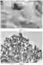 Fig. 02 - Bifunctional oxygen electrocatalyst, preparation method and use thereof