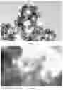 Fig. 03 - Bifunctional oxygen electrocatalyst, preparation method and use thereof