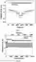 Fig. 07 - Bifunctional oxygen electrocatalyst, preparation method and use thereof