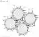Fig. 04 - Method of manufacturing positive electrode for all-solid-state batteries and positive electrode for all-solid-state batteries manufactured using the same