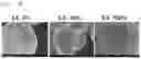 Fig. 06 - Method of manufacturing positive electrode for all-solid-state batteries and positive electrode for all-solid-state batteries manufactured using the same